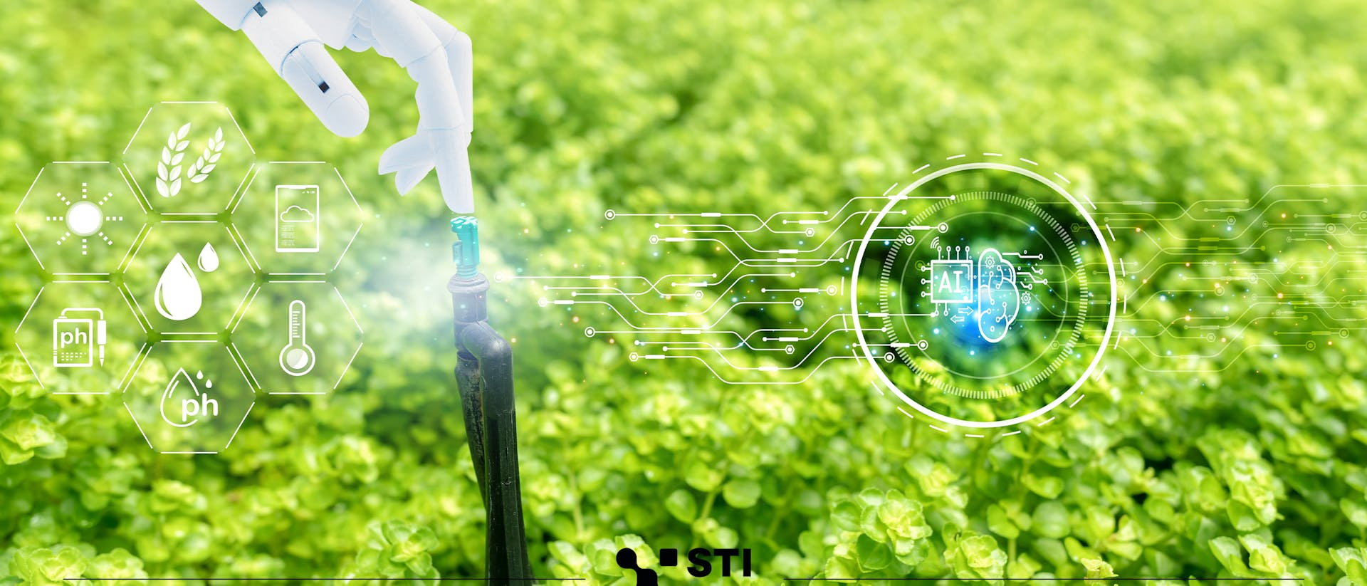 Fashion Industry Trends 2025: Navigating Sustainability and Tech Innovations 6 image 27