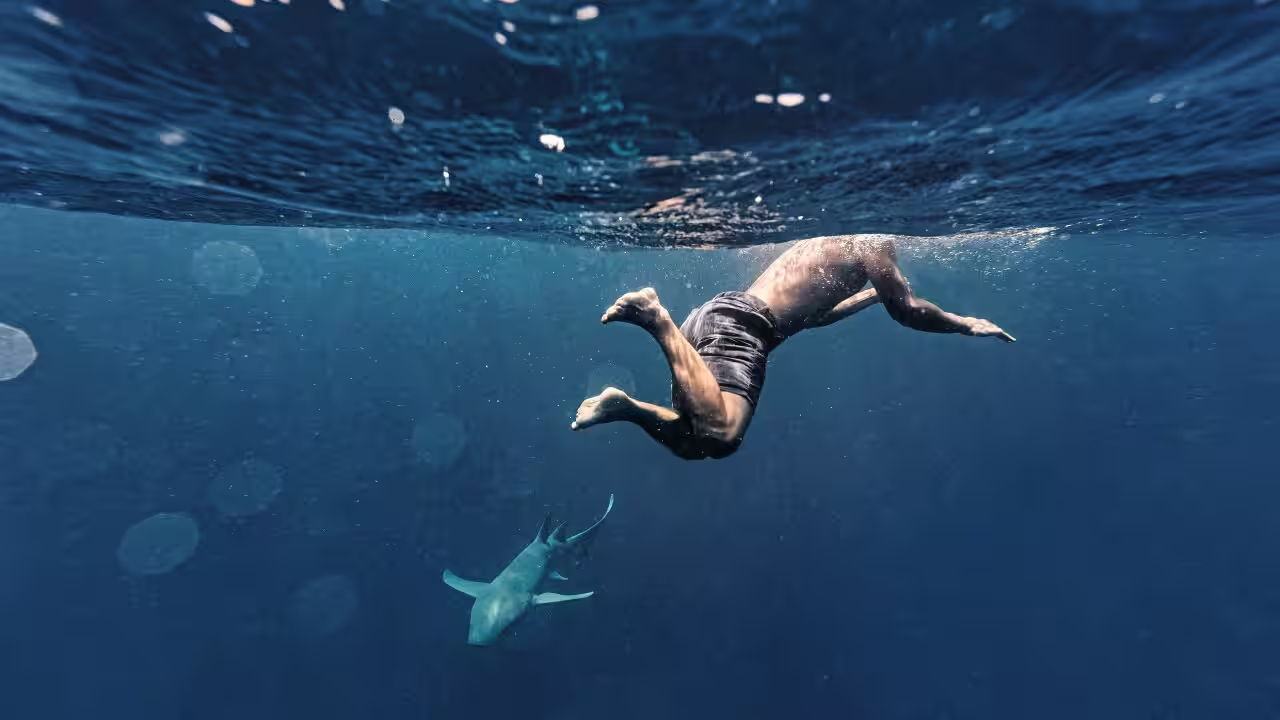 Sun, Sand, Saints & Sharks: Your Ultimate Summer Photo Bucket List for 2025 5 image 297