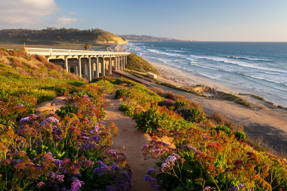 Sun, Sand, Saints & Sharks: Your Ultimate Summer Photo Bucket List for 2025 7 image 299