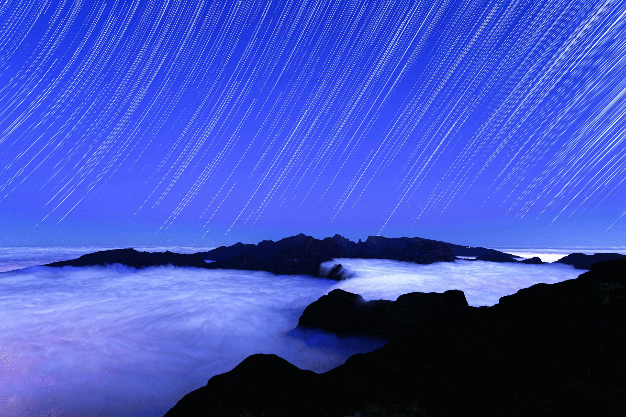Sun, Sand, Saints & Sharks: Your Ultimate Summer Photo Bucket List for 2025 8 image 300 scaled